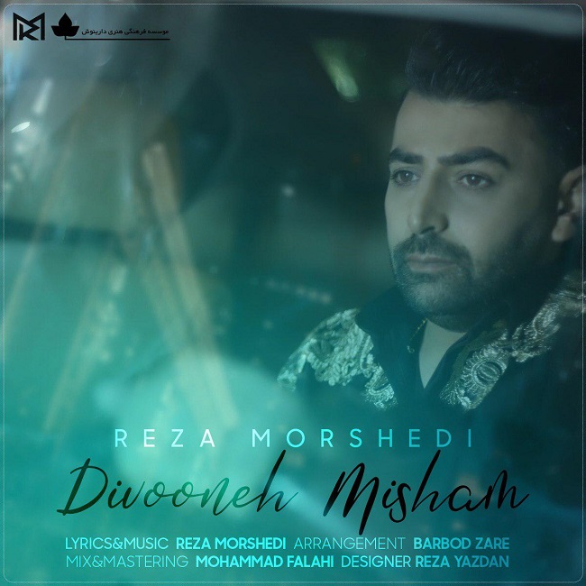 دانلود آهنگ دیوونه میشم رضا مرشدی